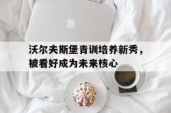 亚博体育官方下载-沃尔夫斯堡青训培养新秀，被看好成为未来核心