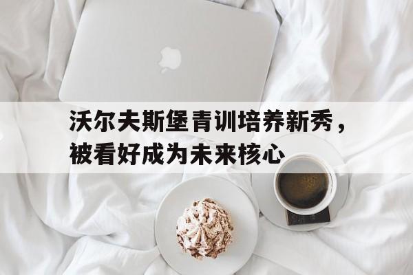 沃尔夫斯堡青训培养新秀，被看好成为未来核心
